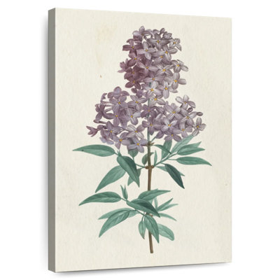 Harnek Victorian Garden Flowers III
