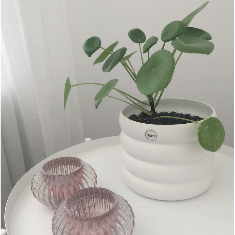 Pot de fleurs en céramique, H 3,94 po x l 3,94 po x P 3,94 po, Blanc