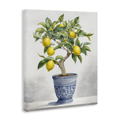 Toile de citronnier traditionnelle en pot, design par Kim Allen