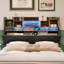 Upholstered Storage Bed-574375989