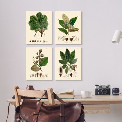 " Plant Anatomy Chart Vintage Scientific Illustration " 4 - Pieces