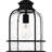 Abrum 1-Light Earth Black Outdoor Hanging Lantern