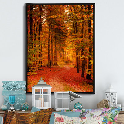 Path Through Red Autumn Forest " Path Through Red Autumn Forest "