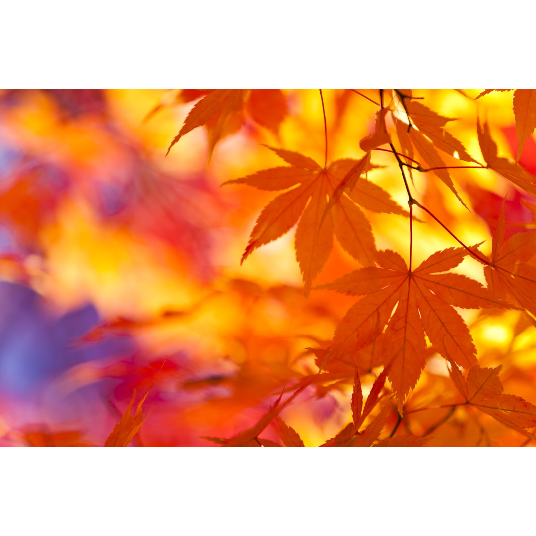 Autumn Leaves von Ooyoo - Kunstdrucke