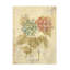 Œuvre d'art sur toile «Hortiea rose»-101097574
