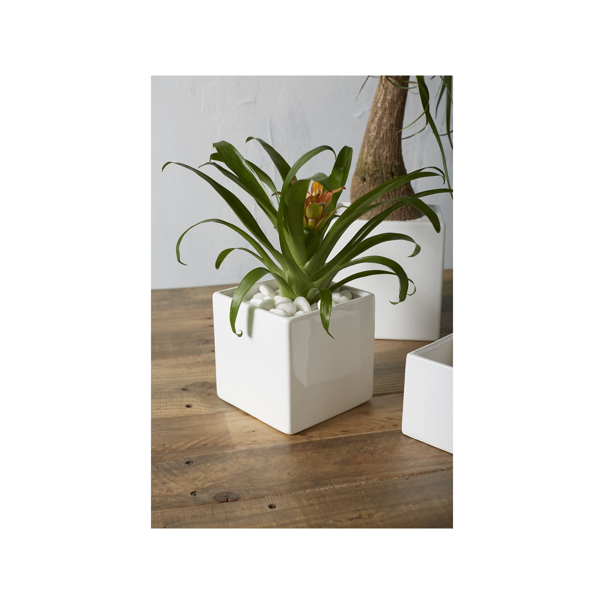 Demetria Ceramic Pot Planter, 4.75" H x 4.75" W x 4.75" D, White