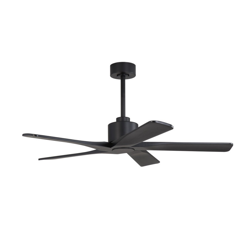 Ventilateur de plafond d'intérieur à 5 pales Baun avec télécommande, Noir, Noir, 48"