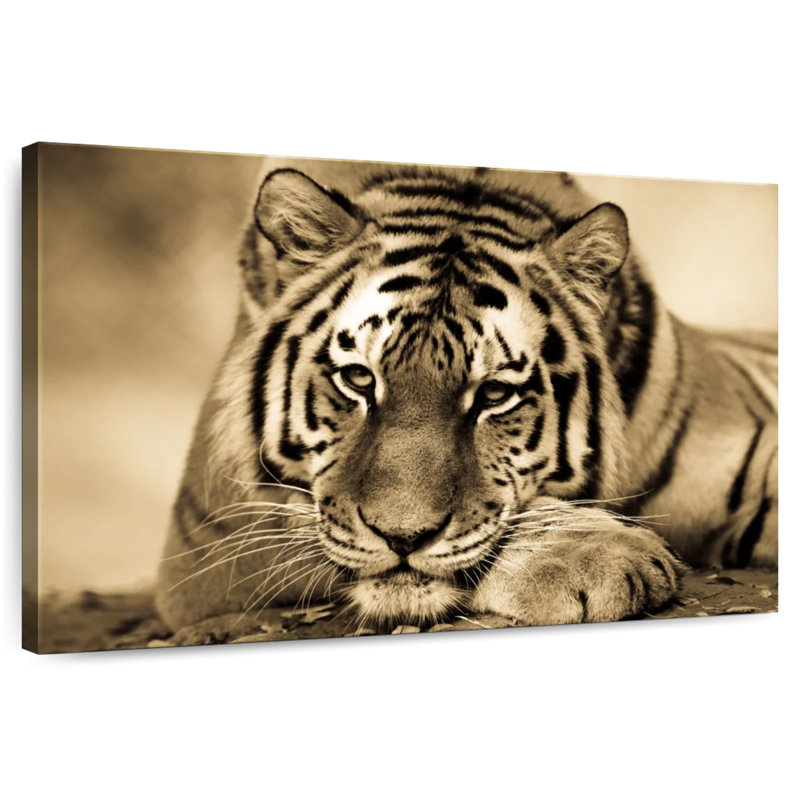 Brampt Ferocious Tiger III, 32" H x 48" W