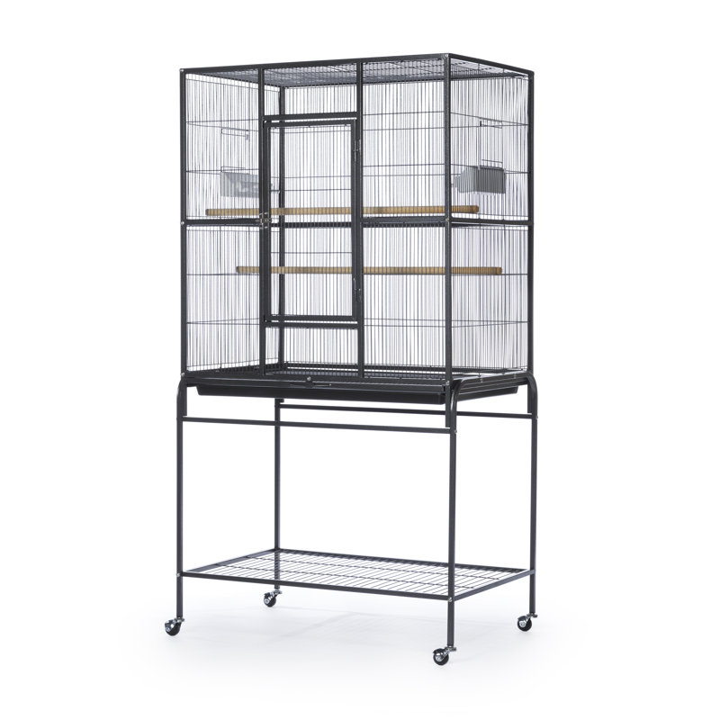 Cage à oiseaux 59,25 po, Noir
