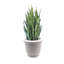 Ceramic Pot Planter