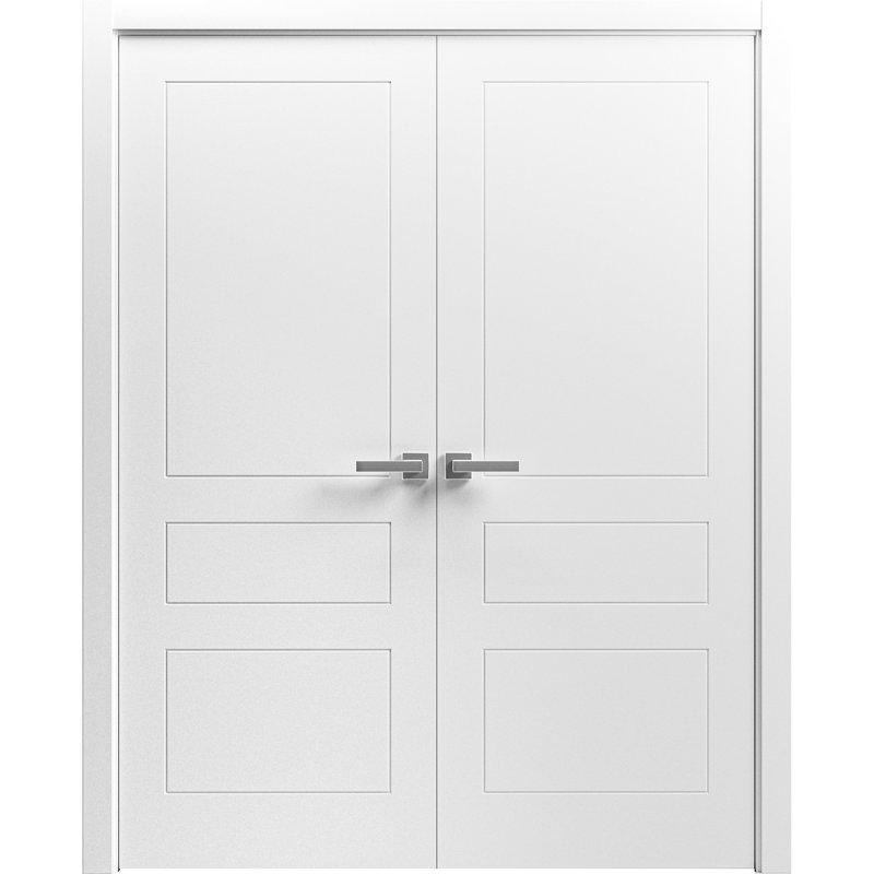 Portes françaises à panneaux, 18 po x 80 po
