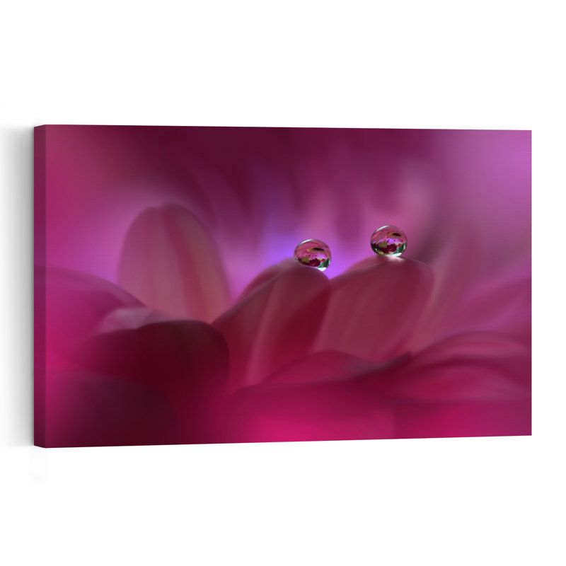 Magenta Petal Drops Delicate Romantic Serene Flower Nature Wall Art Print 1 Piece Wrapped Canvas Wall Art