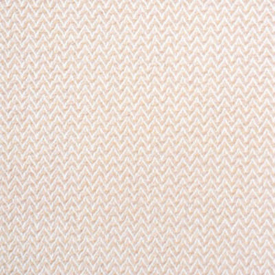 Blue Ribbon Chevron Fabric