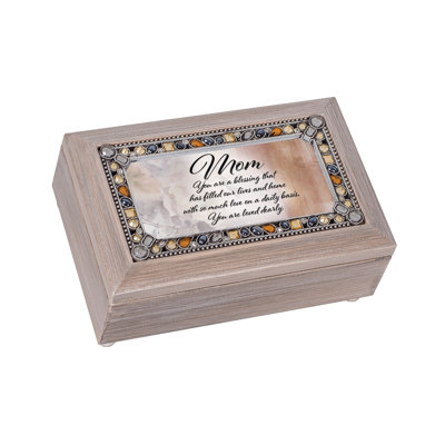 Ahlaan Plastic Memory Box