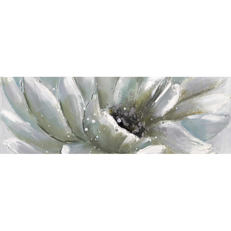" White Chrysanthemum "