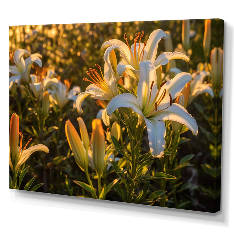 «Lilies Field Of Beauty Dreamscape V», reproduction sur toile, Toile tendue, H 30 po x l 40 po x P 1,5 po