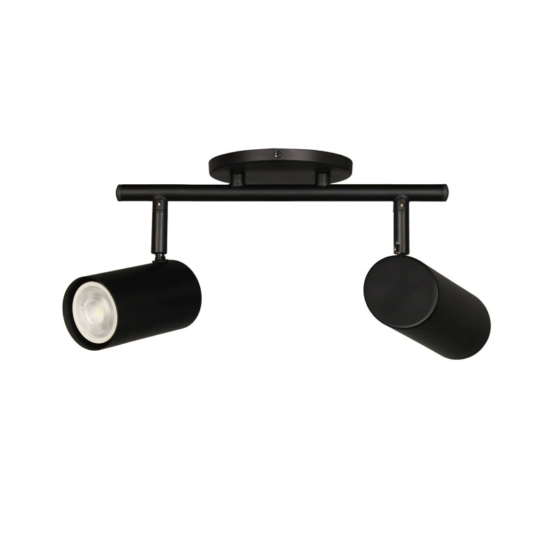 Taylor Track Light - 2 Light, Matte Black