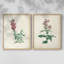 Impression encadrée traditionnelle traditionnelle I-Premium - prête à être accrochée - aucun clou requis - aucun clou requis-1997963327-1997963326