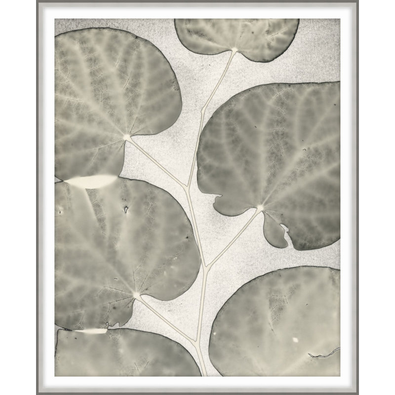 Winsome Problems 1 Print by Darrell Kincer, 26.75" H x 21.75" W