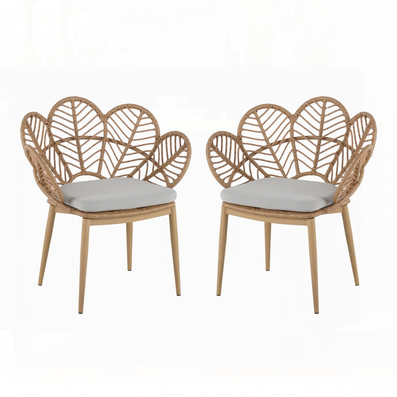 Ensemble de 2 chaises d'extérieur en osier