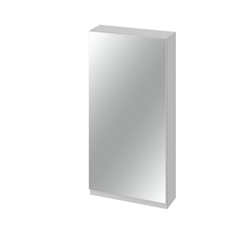 Moduo 594mm W 800mm H Surface Frameless Medicine Cabinet Mirror 2 Fixed, Grey, 80cm H x 40cm W x 14.4cm D