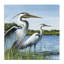 Art mural sur toile traditionnel "Aigrettes traditionnelles" par John Rossini-1738826395