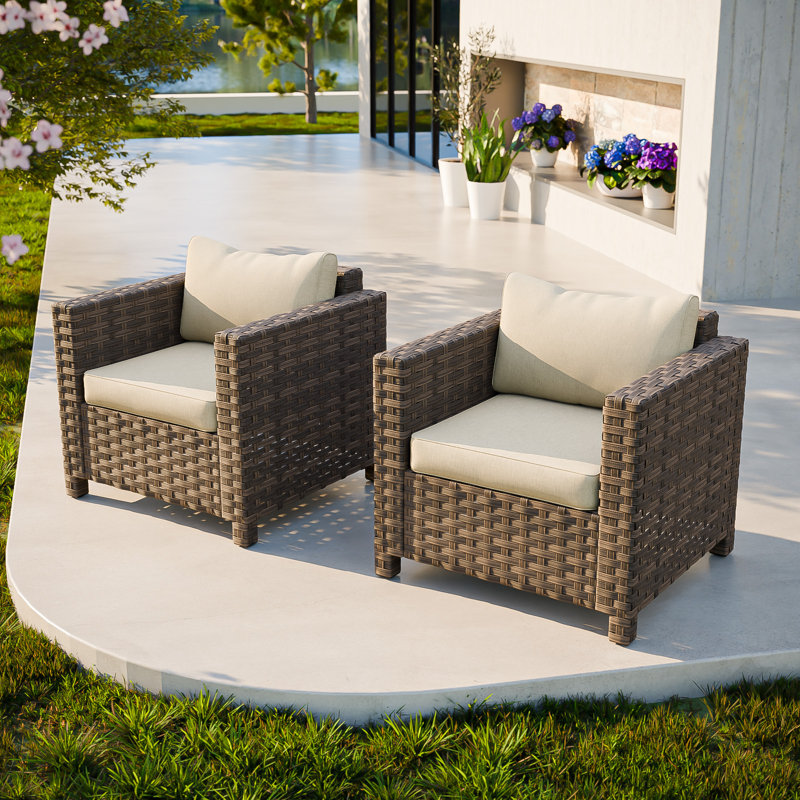 Chaise longue d'extérieur en osier avec coussins (ensemble de 2)