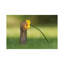 «Smells Like Summer», reproduction de photo encadrée-52359728-52359729