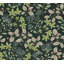 Mildred Black Botanical Trail Wallpaper-2032284439