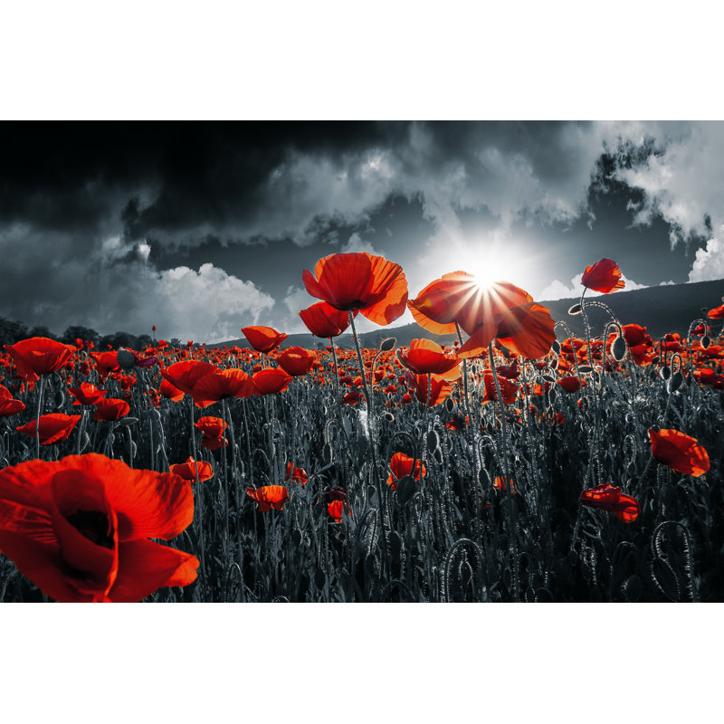 Red Poppies In The Field. Remembrance Day by Mike_Pellinni - Wrapped Canvas Print, 8"H x 12"W