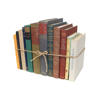Decorative Books - Vintage Art Book Bundle - 1 Foot of Subject Books