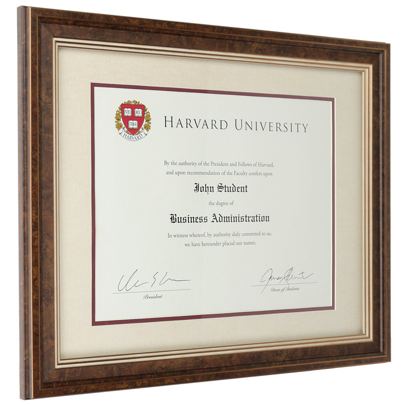 Blakes Wood Beveled Picture Frame with Mat, Brown/Gold