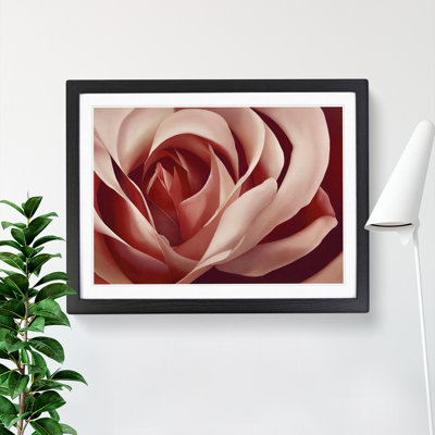 Unforgettable Rose Flower - Framed Print