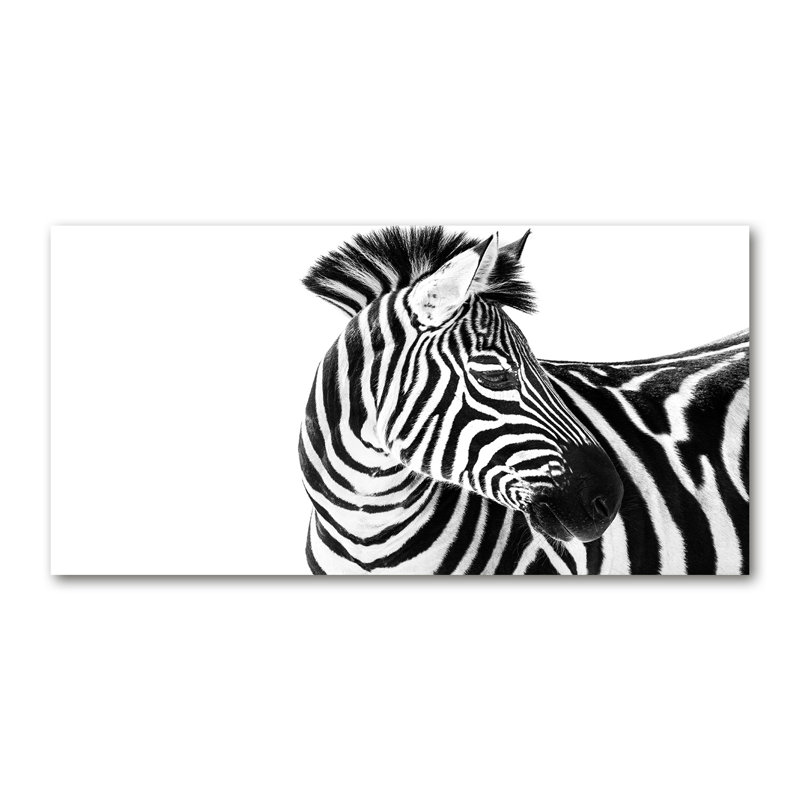 Zebra In The Snow - Wrapped Canvas Print