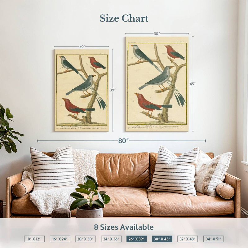 Brampt Bird Drawing I, 39" H x 26" W