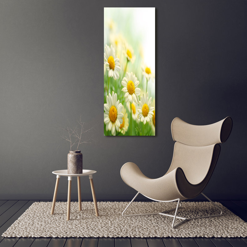 Daisies - Wrapped Canvas Print