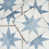 Blue/White