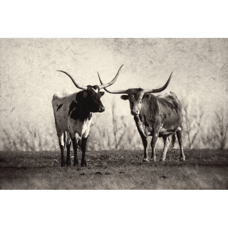 Texas Longhorns by Debra Van Swearingen - Wrapped Canvas Print, 30cm H x 46cm W x 3.8cm D