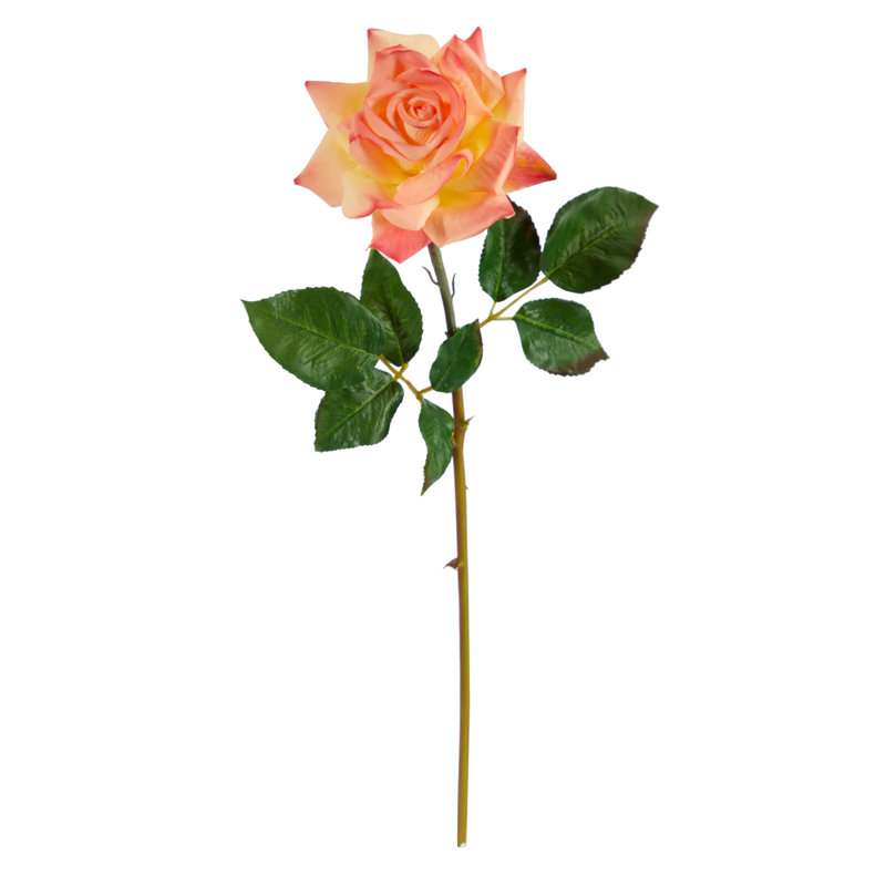 Roses Arrangement, Salmon