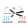 Kayllie 52'' Ceiling Fan with LED Lights