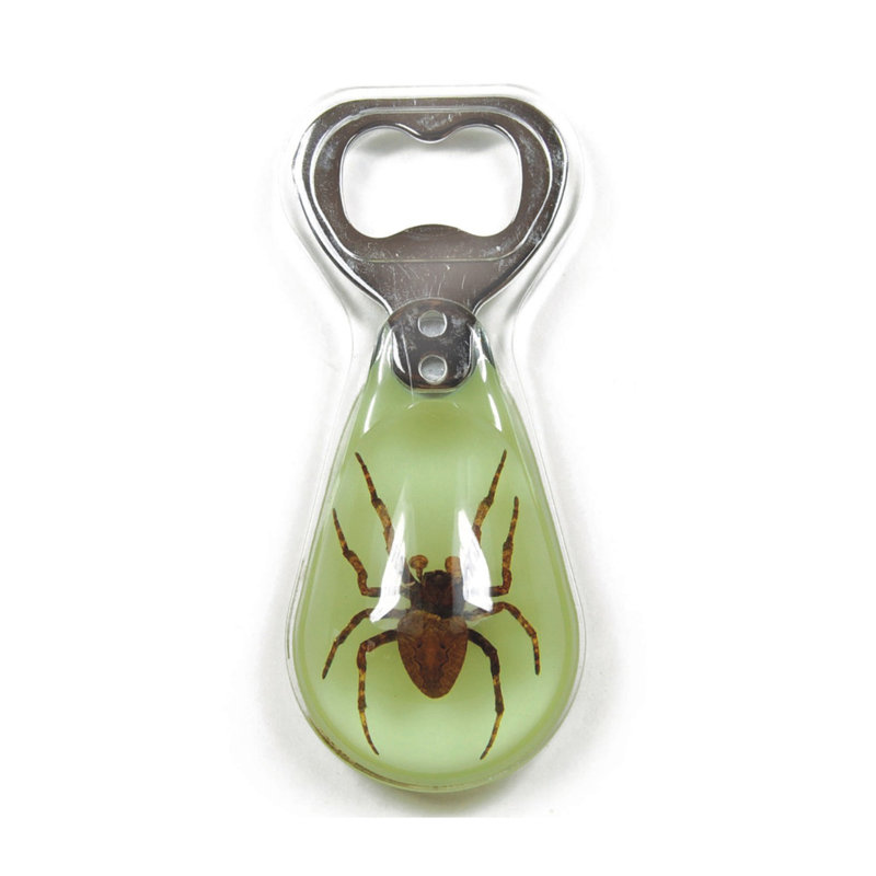 Bottle Opener
