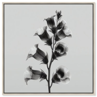 Ossified Petals I Print by Oliver Gal