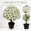 Lotus de neige artificiel de 24 pouces - Faux fleur blanche avec des fleurs réalistes pour des espaces lumineux-828424998
