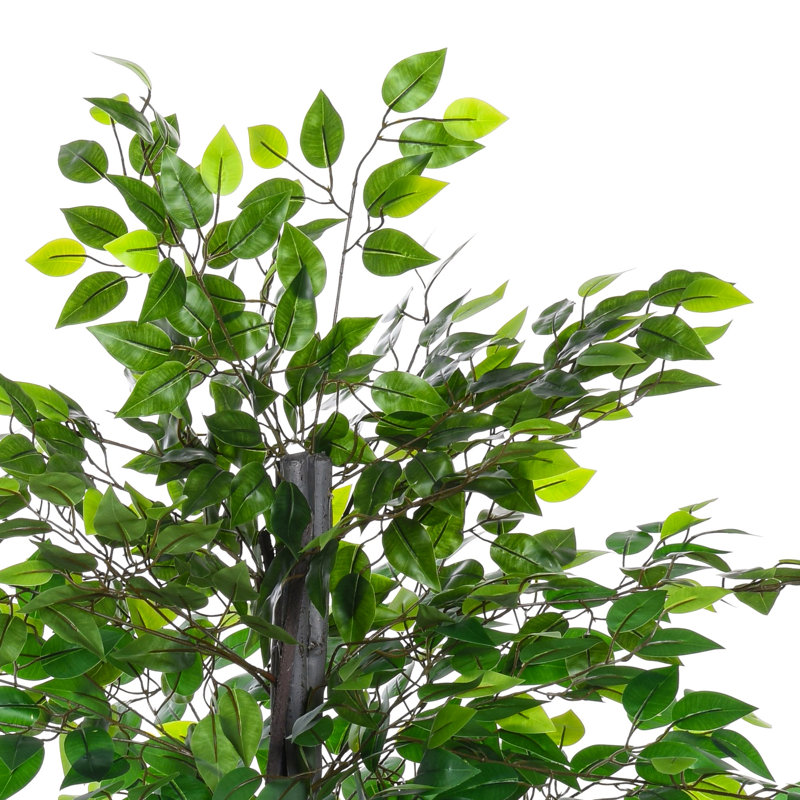Charleston 145cm Faux Tree in Pot