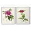 Impression encadrée PrettyPinkBotanicalsI-Premium - prête à être accrochée - aucun clou requis - aucun clou requis-1909328015-1909328020