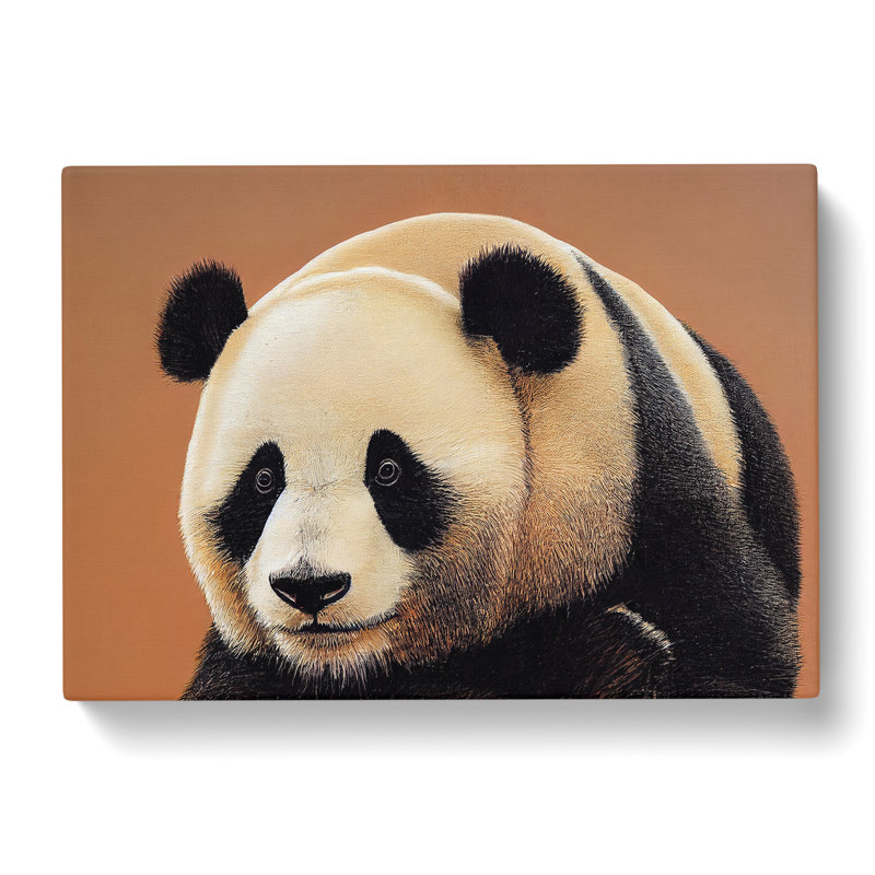 Phenomenal Panda - Wrapped Canvas, 50cm H x 76cm W x 3cm D