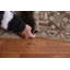 Tapis géométrique rétro 8 x 10