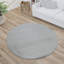 Ananias Solid Colour Shag Area Rug-735702576