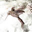Hanging Figurine Ornament-471531052