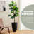 Dneisha Handmade Pot Planter-664212268